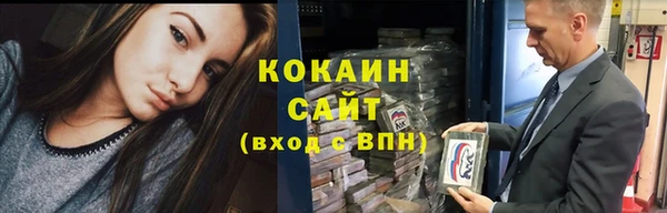 шишки Армянск
