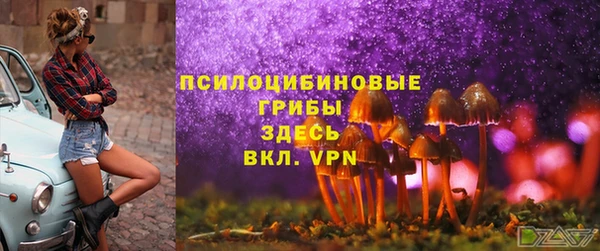 ALPHA PVP Аркадак