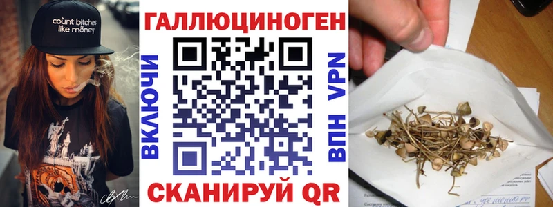 Псилоцибиновые грибы Cubensis  Дзержинск 