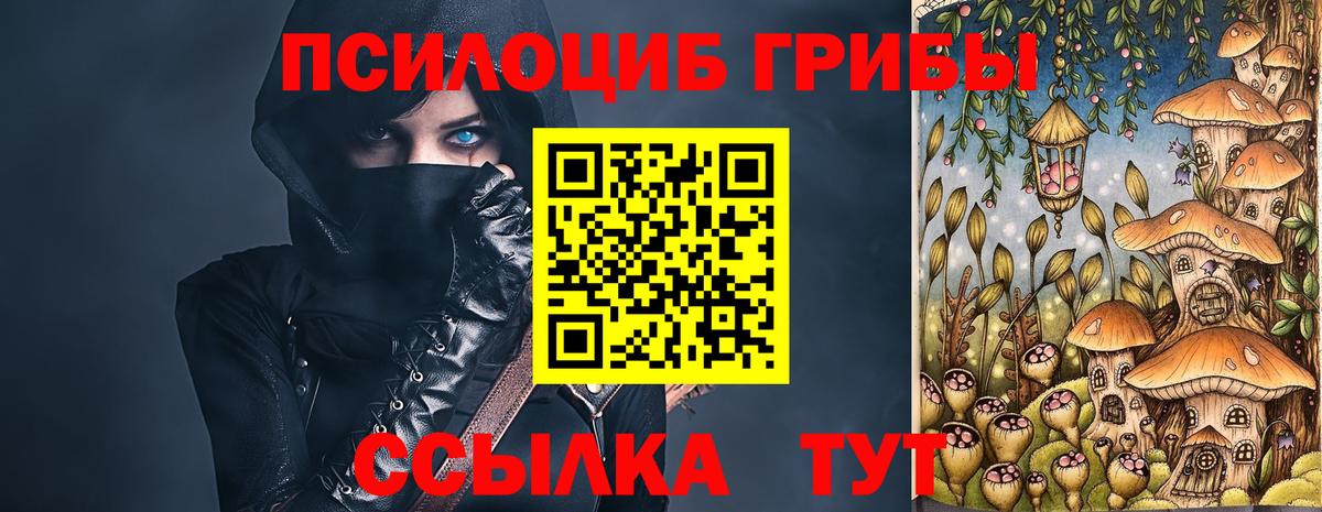 наркотики  Вход с VPN  Дзержинск  Псилоцибиновые грибы Cubensis 